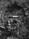 Thumbnail of Figure 18 from the full written report. Barrow I cremation grave.