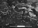 Thumbnail of Figure 27 from the full written report and Hand Collected Bone Analytical Report Figure 1.