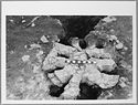 Thumbnail of Hartshill site photo (B&W) - kiln 14/14A image 5 