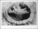 Thumbnail of Hartshill site photo (B&W) - kiln 15 image 2 