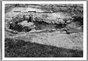Thumbnail of Hartshill site photo (B&W) - kiln 19/19A image 2 
