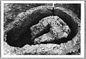Thumbnail of Hartshill site photo (B&W) - kiln 28 image 1 