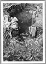 Thumbnail of Hartshill site photo (B&W) - kiln 31 image 2 