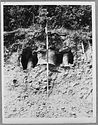 Thumbnail of Hartshill site photo (B&W) - kiln 34 image 2 