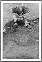 Thumbnail of Hartshill site photo (B&W) - kiln 6 image 3 