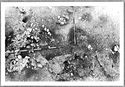 Thumbnail of Mancetter Broadclose site photo (B&W) - Area 22 image M245 