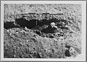 Thumbnail of Mancetter Broadclose site photo (B&W) - Area 22 kiln image 1 