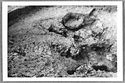 Thumbnail of Mancetter Broadclose site photo (B&W) - Area 3 image M20 
