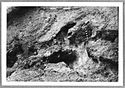 Thumbnail of Mancetter Broadclose site photo (B&W) - Area 3 image M23 