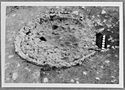 Thumbnail of Mancetter Broadclose site photo (B&W) - kiln19B 19B image M234 