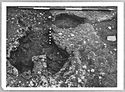 Thumbnail of Mancetter Broadclose site photo (B&W) - kiln7C-7E image M110 