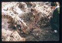 Thumbnail of Mancetter Broadclose site photo (colour slide) - first image labelled 'W1' from box 1 sheet 1 