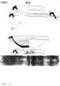 Thumbnail of Mancetter-Hartshill working drawings - mortaria form series A10 page 2 