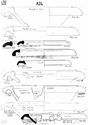 Thumbnail of Mancetter-Hartshill working drawings - mortaria form series A24 page 3 