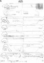 Thumbnail of Mancetter-Hartshill working drawings - mortaria form series A25 page 4 