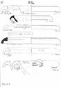 Thumbnail of Mancetter-Hartshill working drawings - mortaria form series A34 page 3 