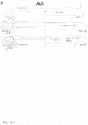 Thumbnail of Mancetter-Hartshill working drawings - mortaria form series A65 page 2 