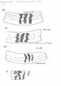 Thumbnail of Mancetter-Hartshill working drawings - mortaria decoration C3 page 1 