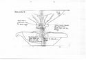Thumbnail of Mancetter-Hartshill working drawings - mortaria spout type 4 