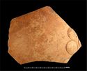 Thumbnail of Mancetter-Hartshill pottery type series photo - fabric F25 sherd 