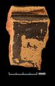 Thumbnail of Mancetter-Hartshill pottery type series photo - fabric F61 sherd 