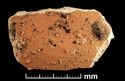 Thumbnail of Mancetter-Hartshill pottery type series photo - fabric F63 sherd 
