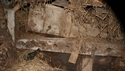 Thumbnail of fragments of oak manger ex situ