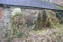 Thumbnail of North wall - stable range - buttresses