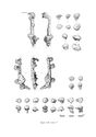 Thumbnail of Figure 3.48: Bainesse Cemetery: hobnails and shoe plates from Grave 77.