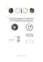 Thumbnail of Figure 3.158: Bainesse Cemetery: beads and copper-alloy coin from Grave 221.