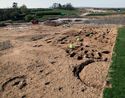 Thumbnail of Figure 3.224: Bainesse Cemetery during excavation, looking northwest.