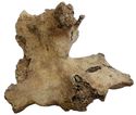 Thumbnail of Figure 6.18: Bainesse Cemetery: Skeleton 13146 (Grave 197), fusion of right pelvis and sacrum.