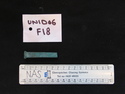 Thumbnail of UNID2006F18.JPG