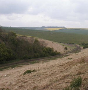 Photograph of Wolds landscape