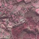 Thumbnail of cir427110 