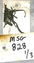 Thumbnail of MSG828_001_done