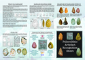 Thumbnail of Palaeolithic Artefact recognition sheet: side one