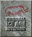 Thumbnail of NIAN logo
