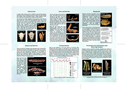 Thumbnail of Vertebrate Fossil recognition sheet: side two