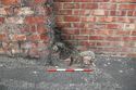 Thumbnail of Break in wall A116 looking north