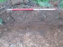 Thumbnail of <em>10: Sample section, trench 17</em> <br  />(10_Sample_section_Tr_17.jpg)