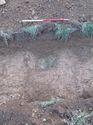 Thumbnail of <em>13: General view of ditch [1303]</em> <br  />(13_General_view_of_ditch_1303.jpg)