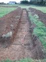 Thumbnail of <em>14: General view of trench 13</em> <br  />(14_General_view_of_trench_13.jpg)