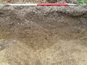 Thumbnail of <em>17: Section through ditch [1203]</em> <br  />(17_Section_through_ditch_1203.jpg)