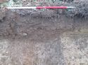Thumbnail of <em>19: Section through ditch [1205]</em> <br  />(19_Section_through_ditch_1205.jpg)