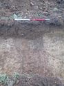 Thumbnail of <em>20: General view of ditch [1205]</em> <br  />(20_General_view_of_ditch_1205.jpg)