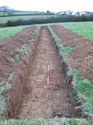 Thumbnail of <em>29: General view of trench 3</em> <br  />(29_General_view_of_trench_3.jpg)