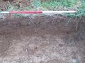 Thumbnail of <em>32: Sample section trench 4</em> <br  />(32_Sample_section_Tr_4.jpg)