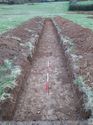 Thumbnail of <em>35: General view of trench 5</em> <br  />(35_General_view_of_trench_5.jpg)