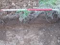 Thumbnail of <em>36: Sample section trench 5</em> <br  />(36_Sample_section_Tr_5.jpg)